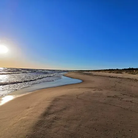 M&k Ptasi Raj - Wyspa Sobieszewska