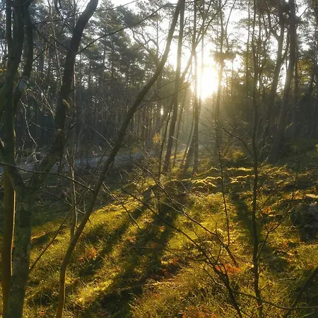 Lejlighed M&k Ptasi Raj - Wyspa Sobieszewska