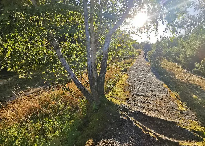 Lägenhet M&k Ptasi Raj - Wyspa Sobieszewska Gdańsk