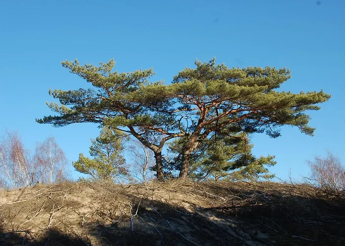 Lägenhet M&k Ptasi Raj - Wyspa Sobieszewska Gdańsk
