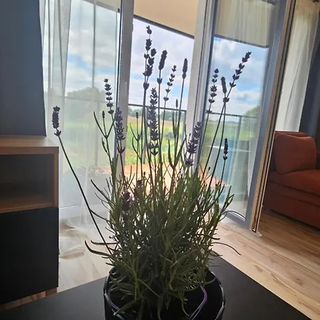 Appartement M&k Ptasi Raj - Wyspa Sobieszewska *