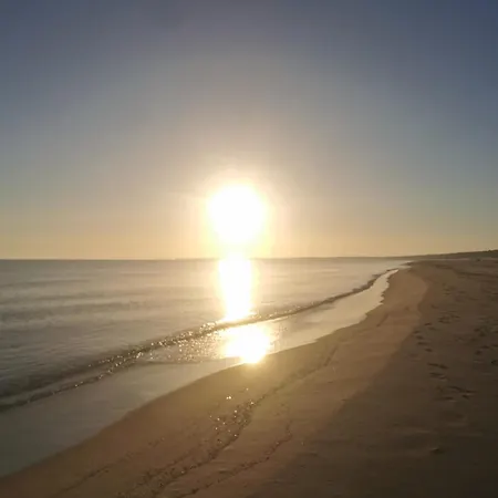 M&k Ptasi Raj - Wyspa Sobieszewska Appartement Gdańsk