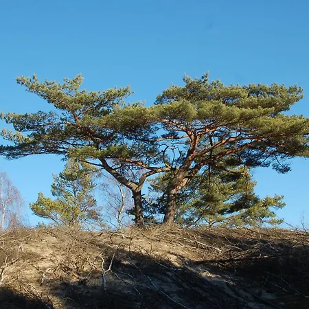 Appartement M&k Ptasi Raj - Wyspa Sobieszewska Gdańsk