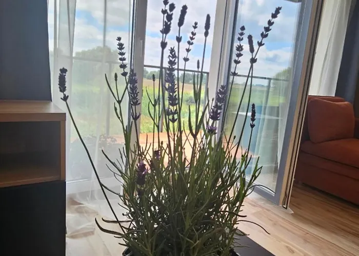 Appartement M&k Ptasi Raj - Wyspa Sobieszewska *