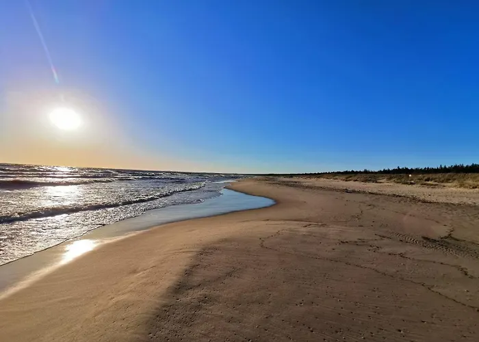 M&k Ptasi Raj - Wyspa Sobieszewska