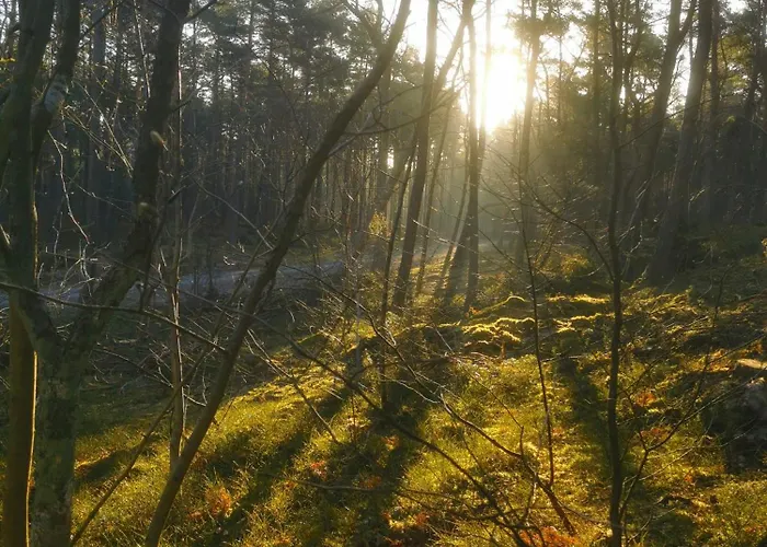 Appartement M&k Ptasi Raj - Wyspa Sobieszewska